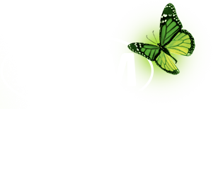 MMM 2011
